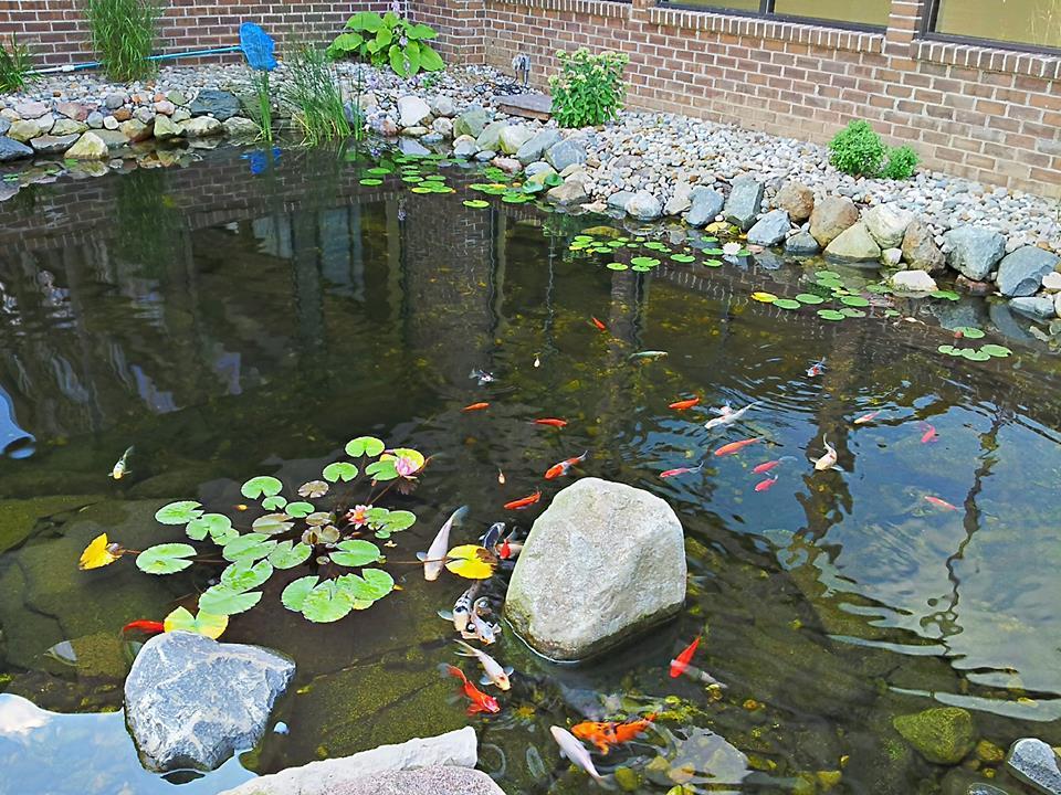 Causeway Bay Hotel Lansing Exteriör bild